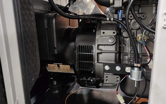 ليروي سومر المولد